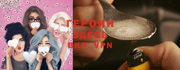 индика Бронницы
