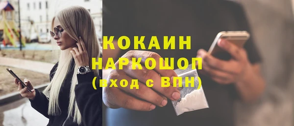 индика Бронницы