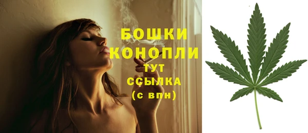 мдпв Богородск