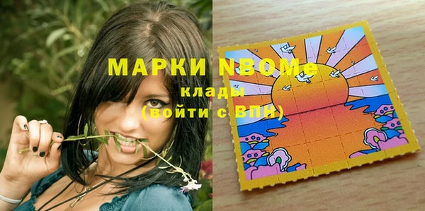 мдпв Богородск