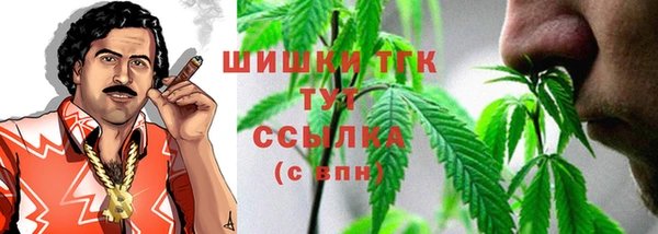 мдпв Богородск