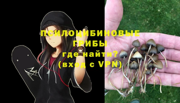 Альфа ПВП Богданович
