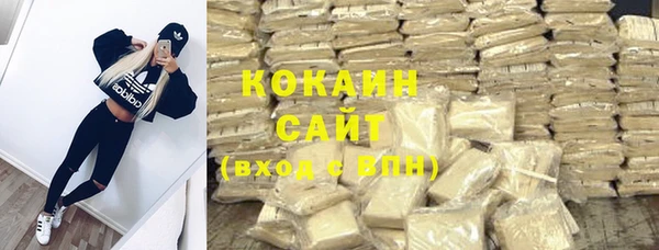 индика Бронницы