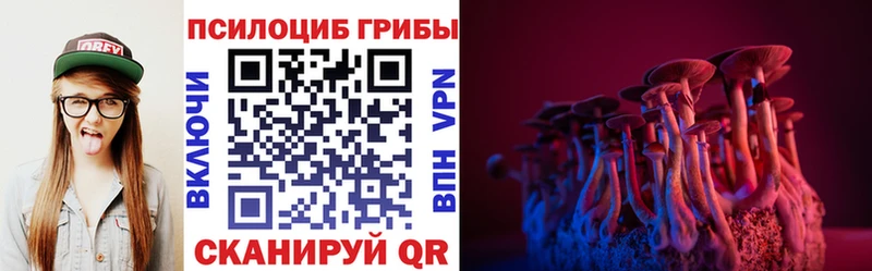 Псилоцибиновые грибы мицелий Купить где Михайловск