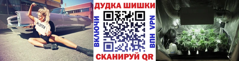 МАРИХУАНА планчик  Купить закладки  Михайловск 